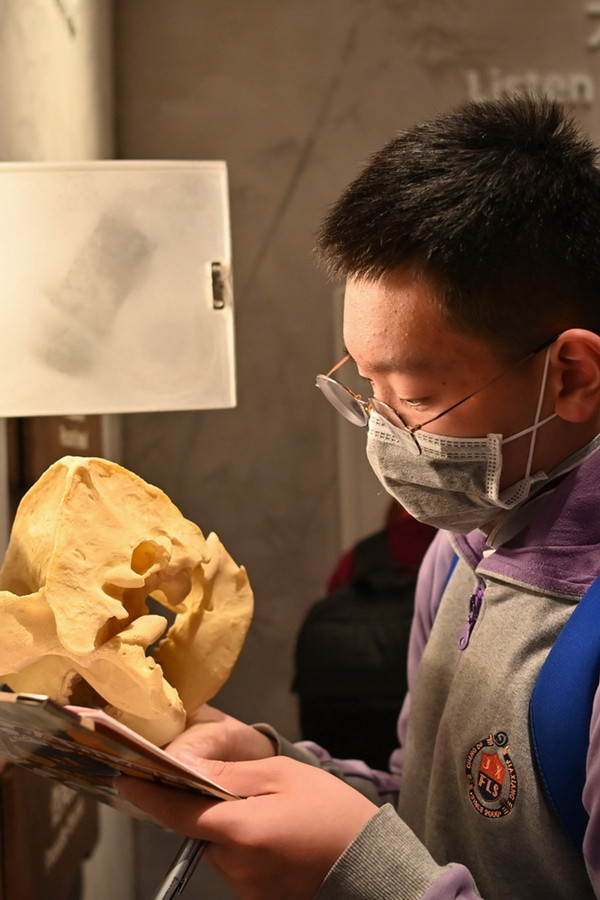 China: Primeiro museu do mundo de experiência interativa com temática do panda é inaugurado