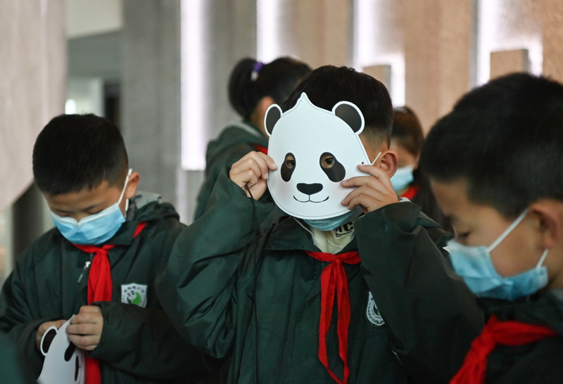 China: Primeiro museu do mundo de experiência interativa com temática do panda é inaugurado