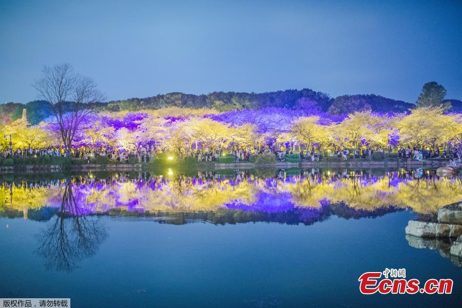 Galeria: Visão noturna do Parque de Cerejeira no Lago Leste de Wuhan