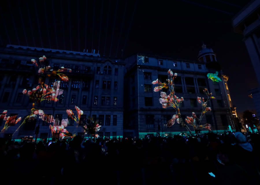 Wuhan apresenta show de luzes com tema da flor de cerejeira