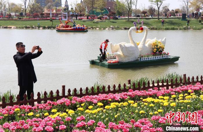Jiangsu: Tulipas florescem em Dafeng
