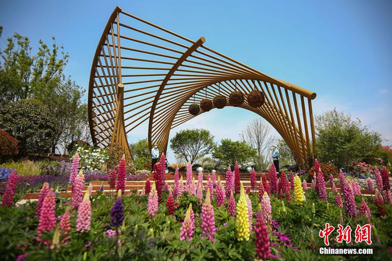 Exposição Horticultural Internacional de Yangzhou 2021 é inaugurada