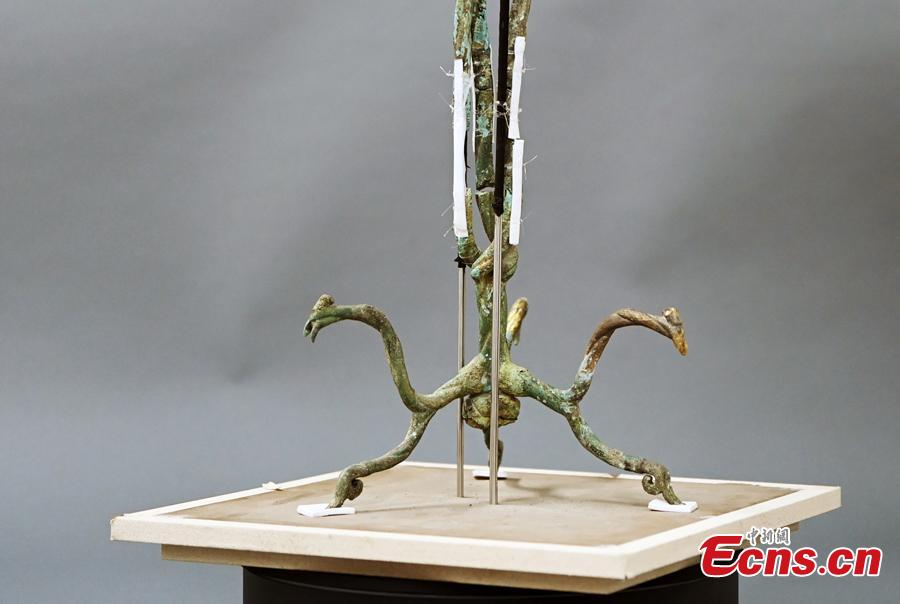 Restauração da árvore sagrada de bronze escavada nas Ruínas de Sanxingdui é basicamente concluída