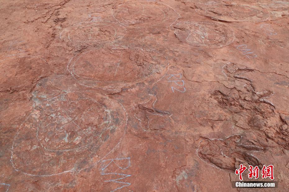 'Pista de dança de dinossauro' descoberta em Fujian, sudeste da China