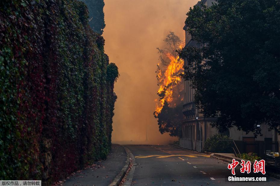 Parque Nacional da Table Mountain na África do Sul sofre incêndio

