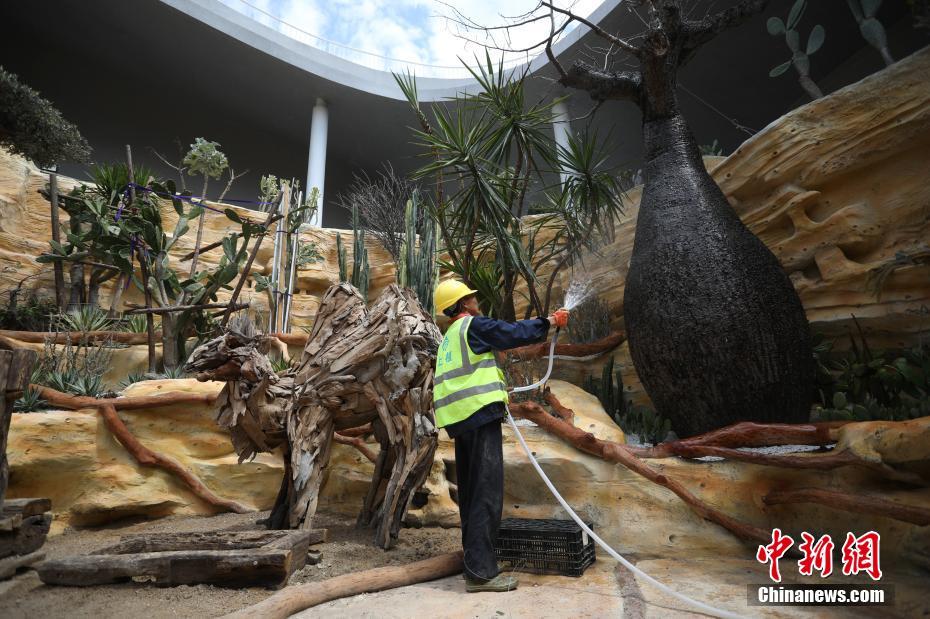 Construção da 10ª China Flower Expo entra na fase final