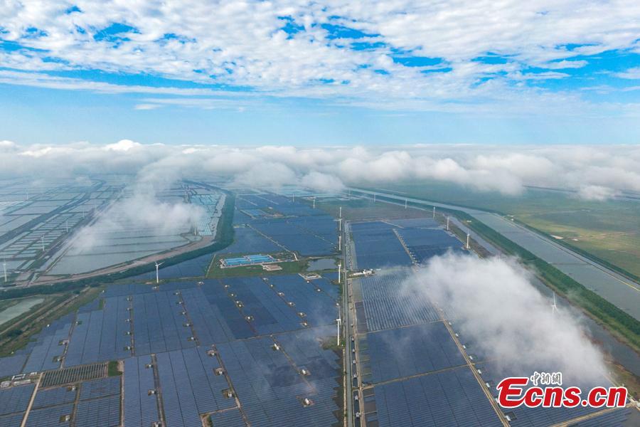 Indústrias verdes multiníveis melhoram meio ambiente de Jiangsu