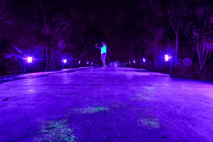 Chongqing: Caminho fluorescente brilha sob céu noturno 