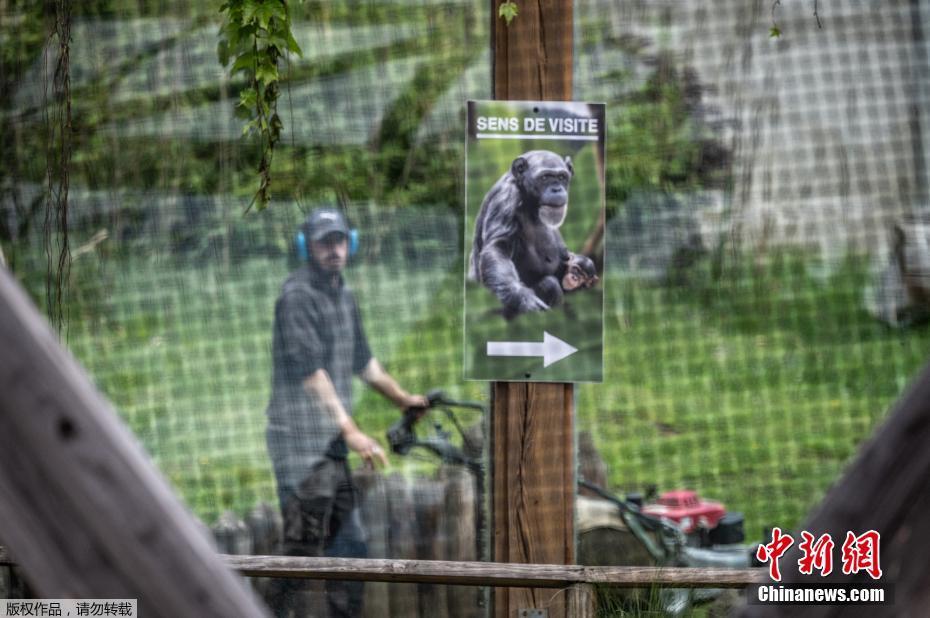 Jardim zoológico da França será reaberto