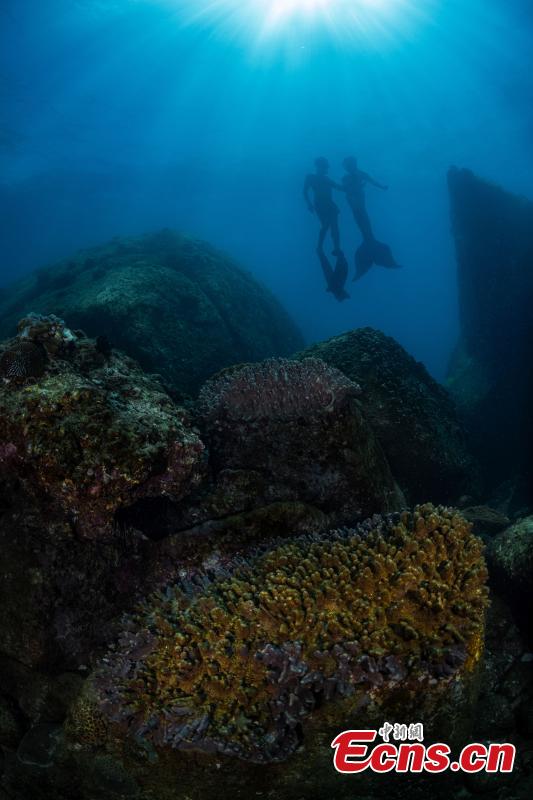 Mundo oceânico é revelado por fotógrafos subaquáticos em Hainan
