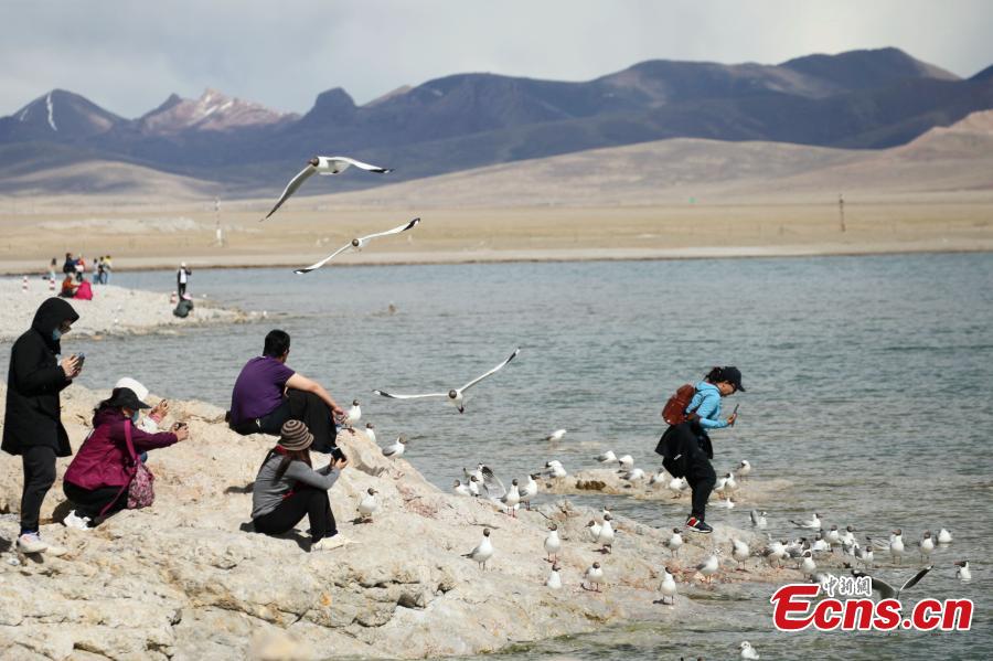 Namtso no Tibete dá as boas-vindas à temporada turística