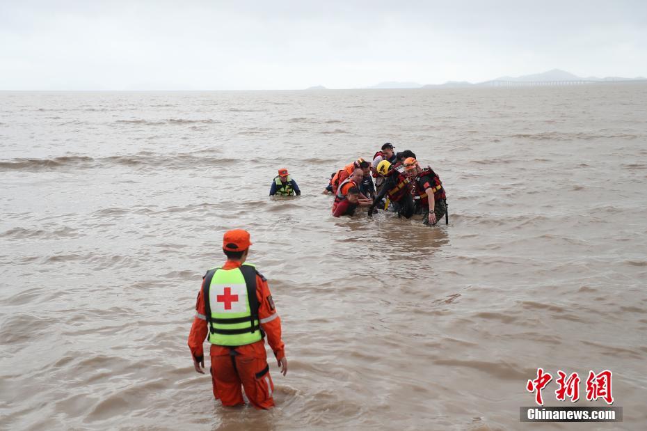 China: baleias encalhadas em Zhejiang encontram-se resgatadas