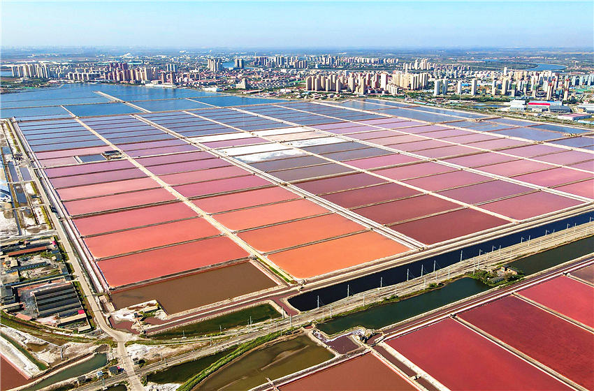 Campo de sal colorido em Tianjin
