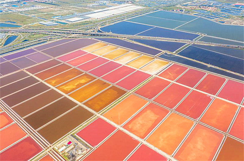 Campo de sal colorido em Tianjin