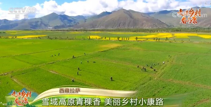 “Xiaokang”: o sucesso da China socialista na melhoria da qualidade de vida das regiões rurais