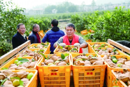Guizhou: diversidade econômica melhora qualidade de vida das populações