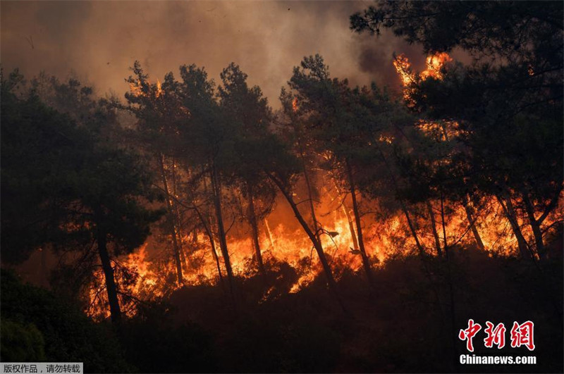 Turquia: incêndios florestais continuam  devastando o país