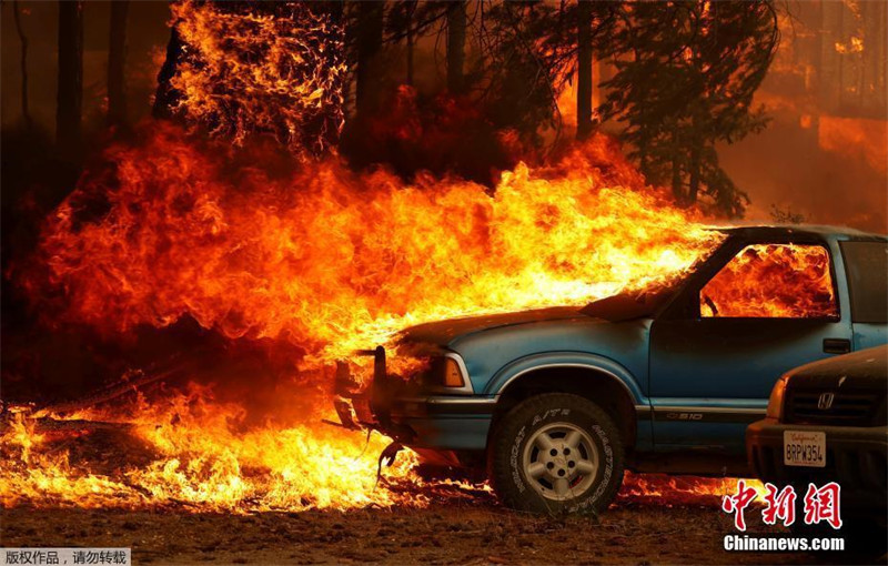 EUA: Incêndios florestais continuam devastando a Califórnia  
