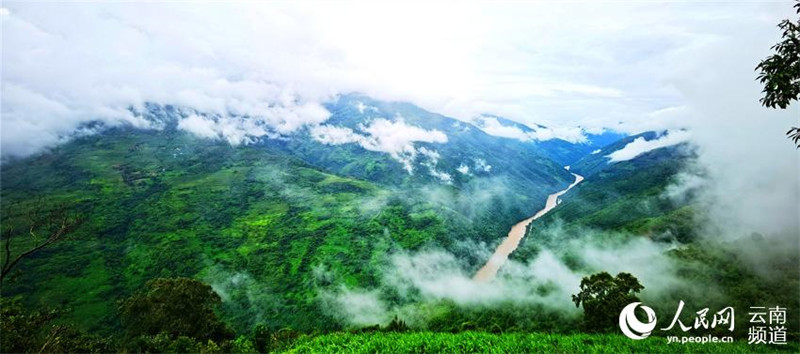  Yunnan: Guarda-rios-malhado é encontrado pela primeira vez em Longling