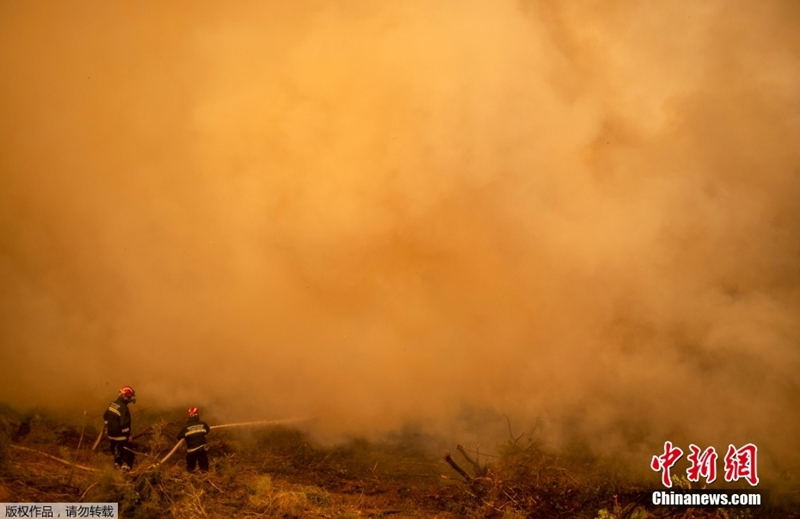 Incêndios florestais ficam fora de controle na segunda maior ilha grega   