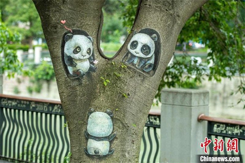 Chengdu: artistas pintam árvores ao longo da margem do rio Fuhe