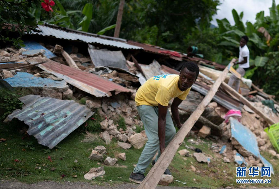 Terremoto no Haiti causou 1.419 mortes  