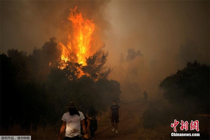 Grécia: incêndios florestais atingem noroeste de Atenas
