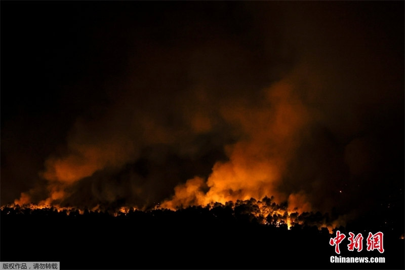 Grécia: incêndios florestais atingem noroeste de Atenas
