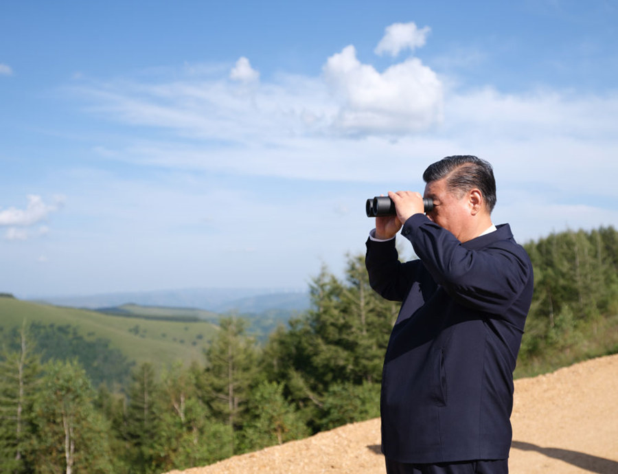 Xi inspeciona fazenda florestal na Província de Hebei