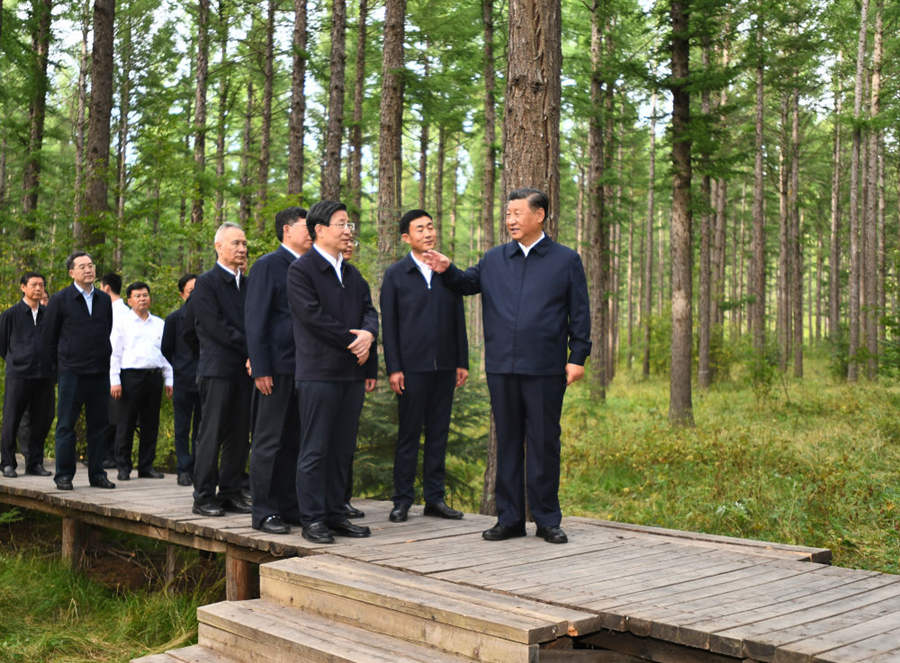 Xi inspeciona fazenda florestal na Província de Hebei