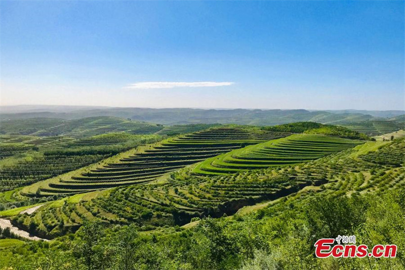 Ningxia: campos de terraços formam paisagem espetacular no início de outono 