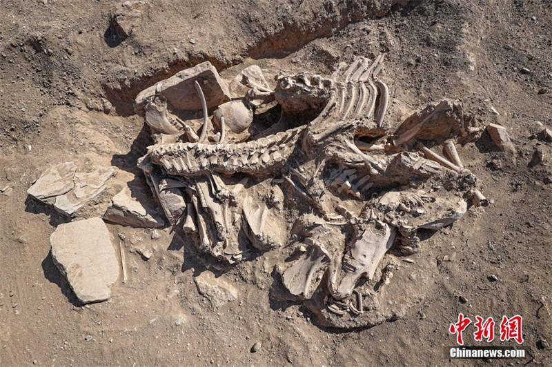 Arqueólogos turcos descobrem túmulo do antigo reino de Urartu