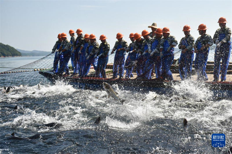 Zhejiang: época de pesca no lago Qiandao
