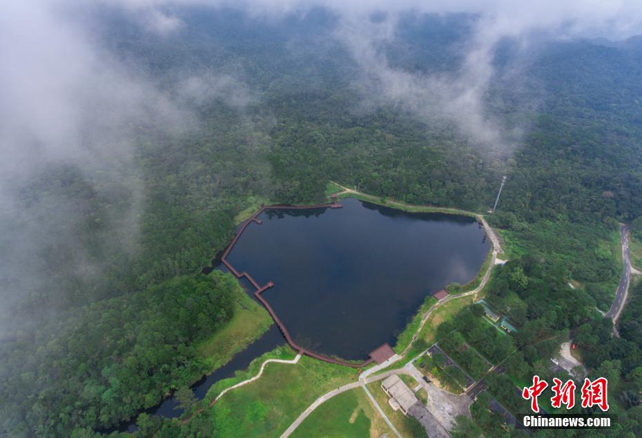Galeria: zona piloto do Parque Nacional de Floresta Tropical de Hainan