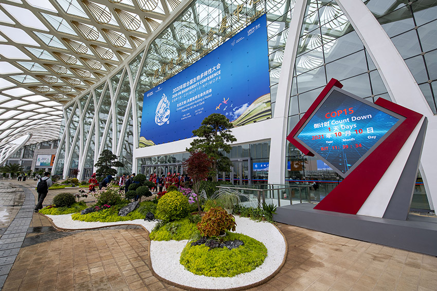 COP15 está pronta para ser inaugurada em Kunming