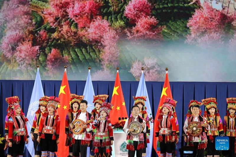 China: COP15 começa em Kunming com civilização ecológica em destaque