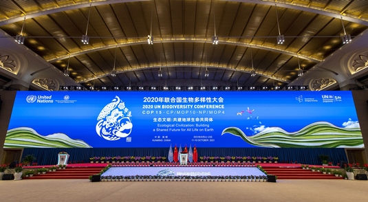 Xi destaca desenvolvimento da civilização ecológica para harmonia humanidade-natureza