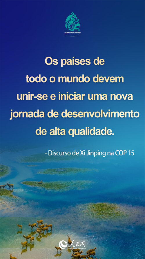 Infográfico: destaques do discurso de Xi Jinping na COP15