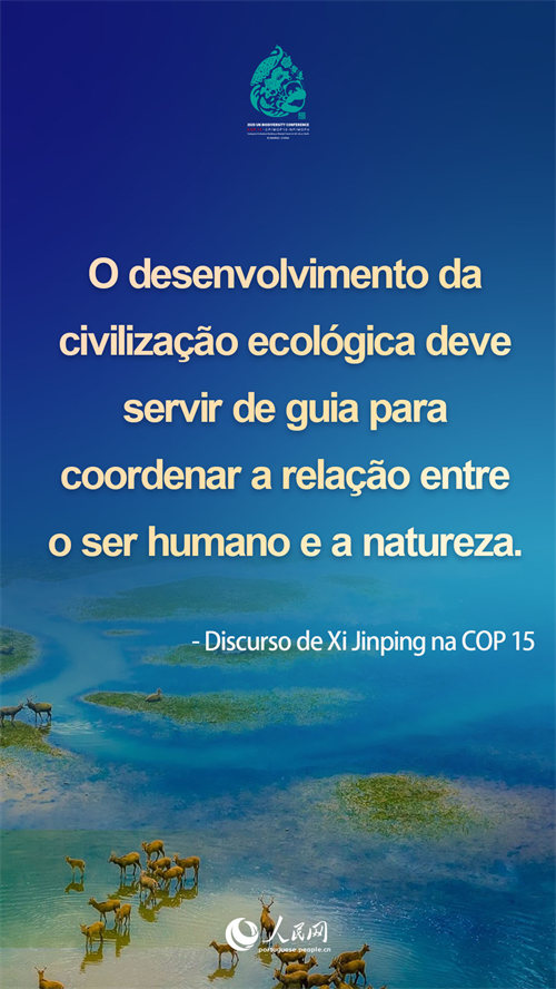 Infográfico: destaques do discurso de Xi Jinping na COP15