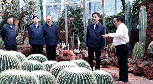 Vice-premiê chinês Han Zheng pede desenvolvimento verde e civilização ecológica