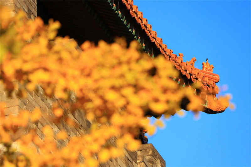 Beijing: bela paisagem da Cidade Proibida no outono 