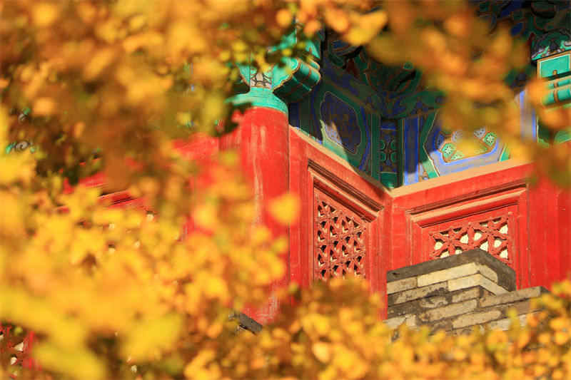 Beijing: bela paisagem da Cidade Proibida no outono 