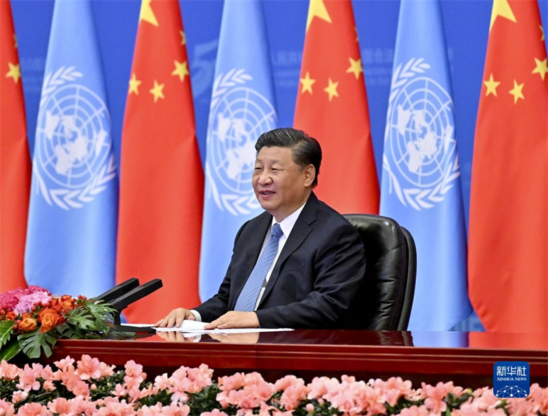Últimos 50 anos testemunham desenvolvimento pacífico da China e sua dedicação ao bem-estar de toda humanidade, diz Xi