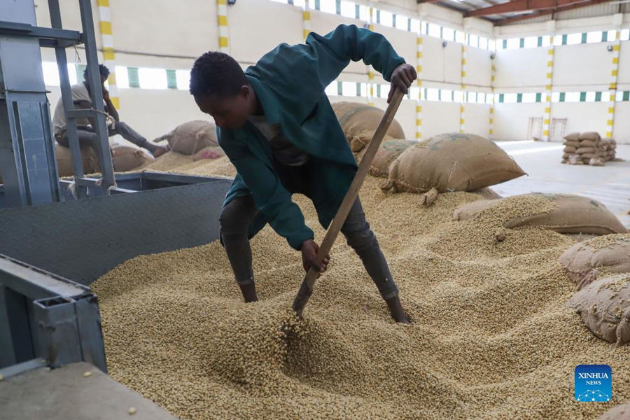 Entrevista: CIIE cria grande oportunidade para exportadores de café da Etiópia 