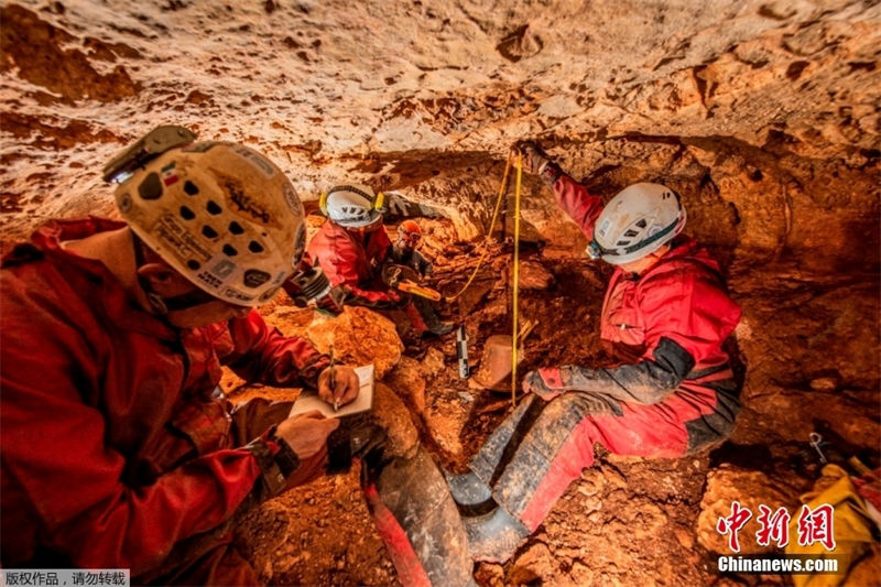 México: canoa de mais de 1.000 anos de idade é encontrada em caverna 