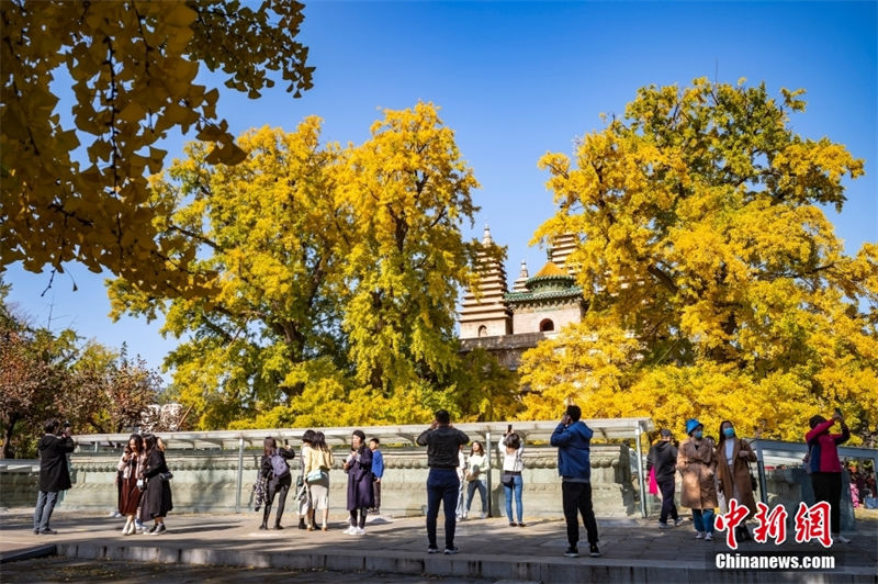 Galeria: paisagem de outono em Beijing