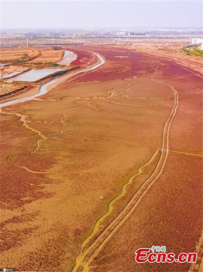 Galeria: contornos outonais pintam paisagem natural de Shandong
