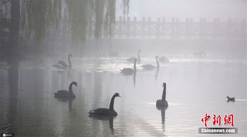 China: muitos lugares sofrem com denso nevoeiro 