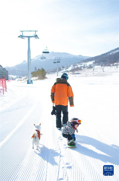Hebei: bebê de 11 meses pratica esqui no Resort Taizicheng