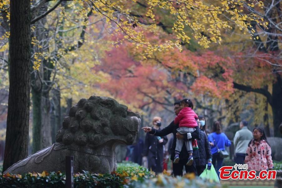 Nanjing: estrada com mais de 600 anos de história fica colorida no final do outono